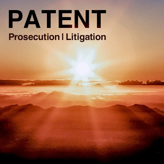 Patents and Designs have been added to the scope of simplified Identification Procedures at Customs, reducing the labor and economic burden on patent owners and design owners