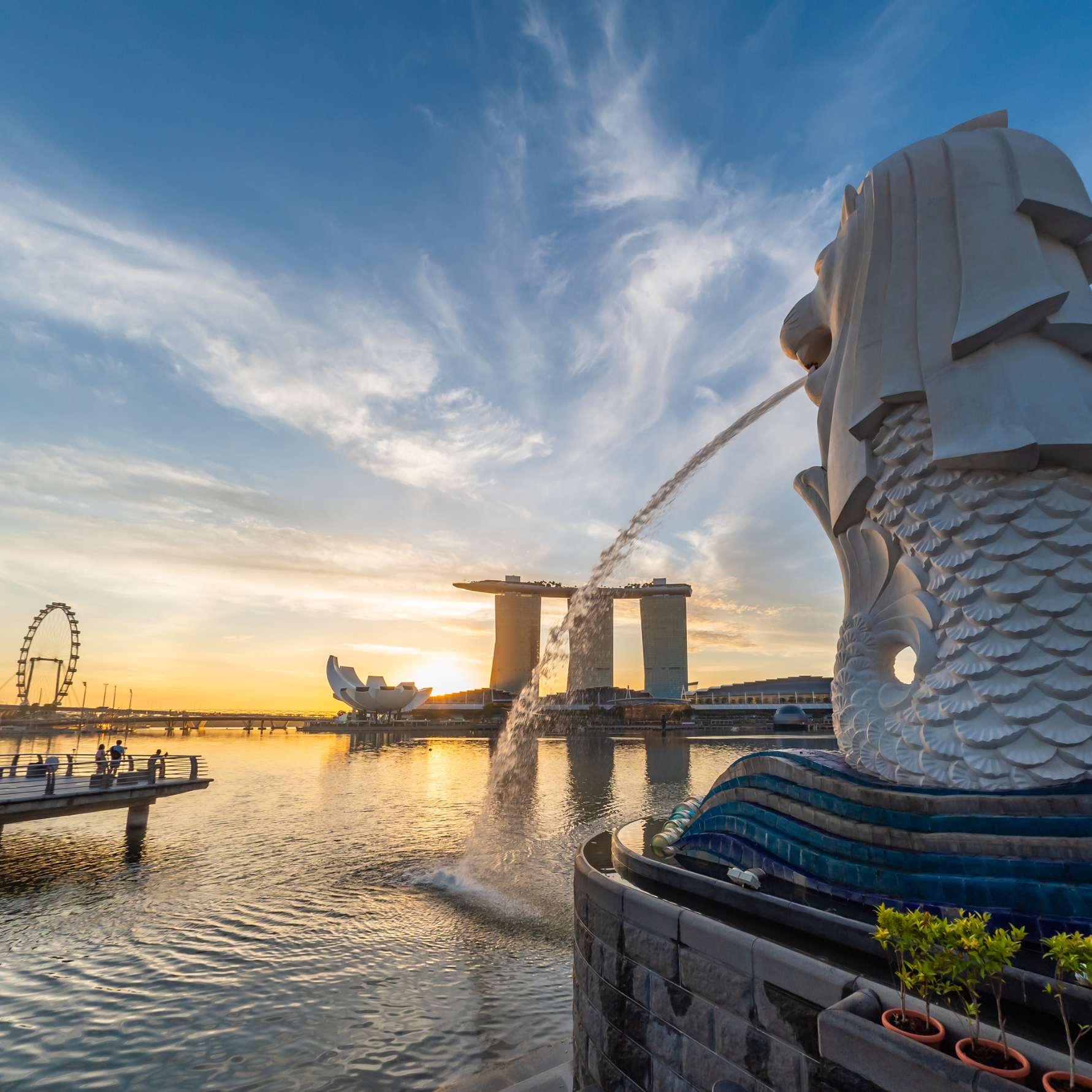 シンガポール労務実務（第1回）：解雇ルールの基礎