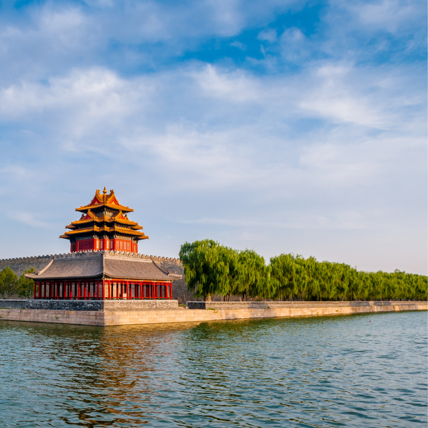 中国最新法令情報